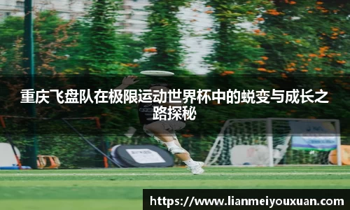 金年会