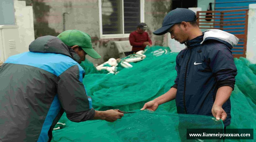 激发活力，释放无限可能！